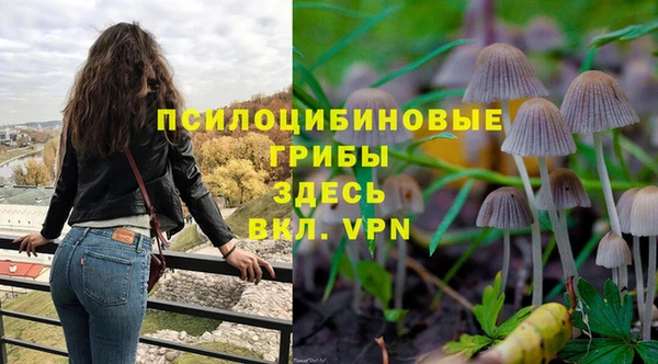 не бодяженный Билибино