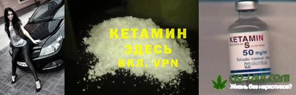 индика Бикин