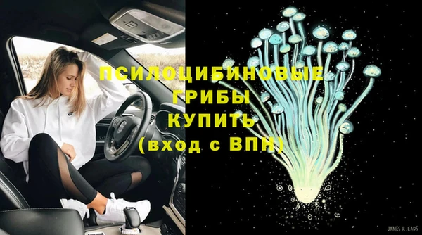 не бодяженный Билибино