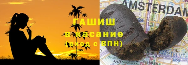 индика Бикин