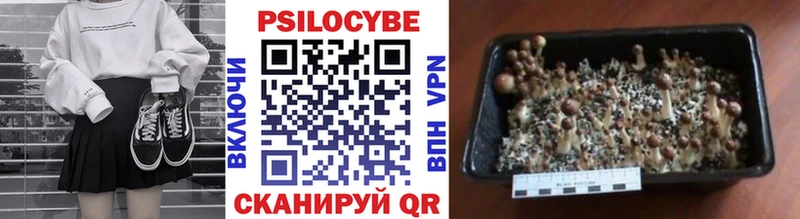 продажа наркотиков Куровское Псилоцибиновые грибы MAGIC MUSHROOMS